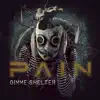 PAIN - Gimme Shelter - Single